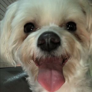 Meet your Posher, Alexis